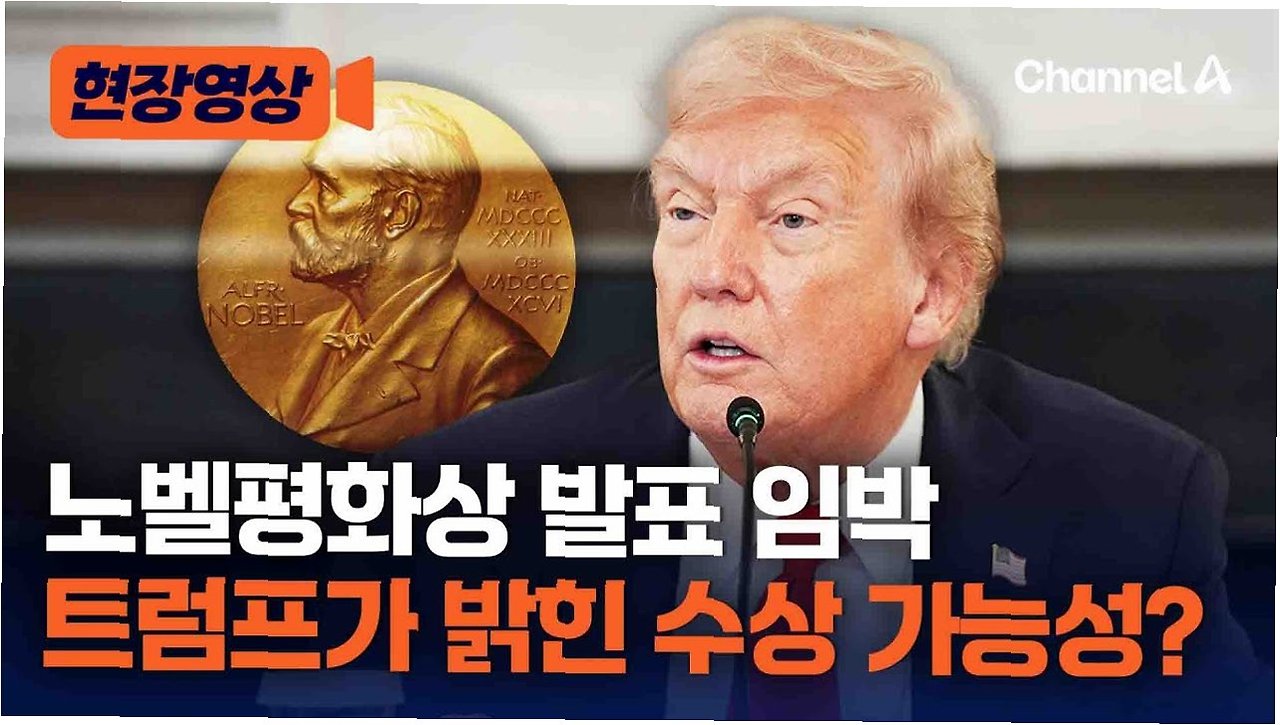 노벨평화상, 정치의 무대 위에 서다 ⚖️