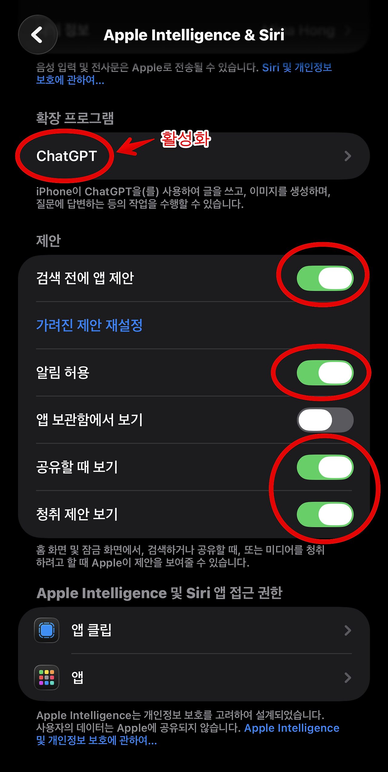 아이폰 유저 필수! iOS 26 번역 기능 설정과 Siri·ChatGPT 활용법 6 img 10