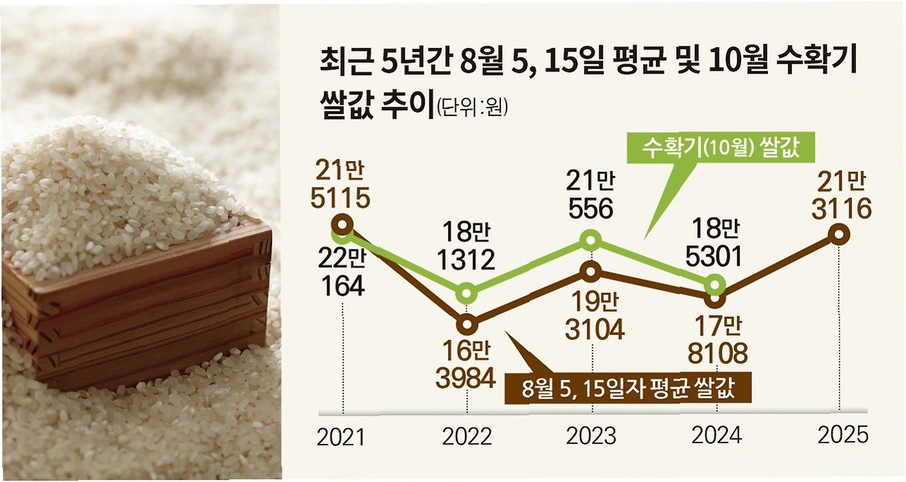 쌀값 상승 원인 정리 유통비용 50% 급증, 단계별 비용 해부 4 쌀값 상승 원인 정리 유통비용 50% 급증, 단계별 비용 해부