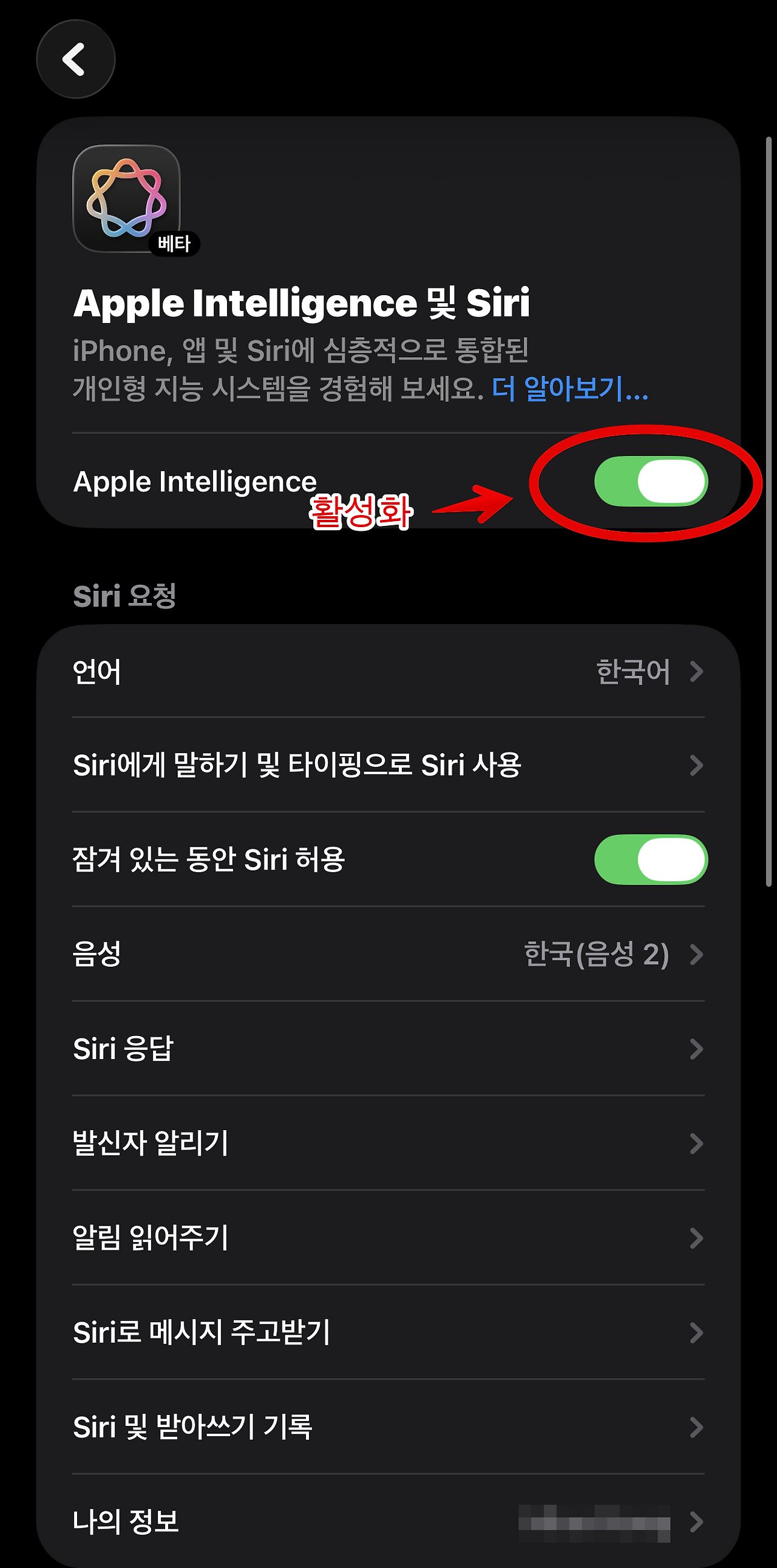 아이폰 유저 필수! iOS 26 번역 기능 설정과 Siri·ChatGPT 활용법 4 img 8