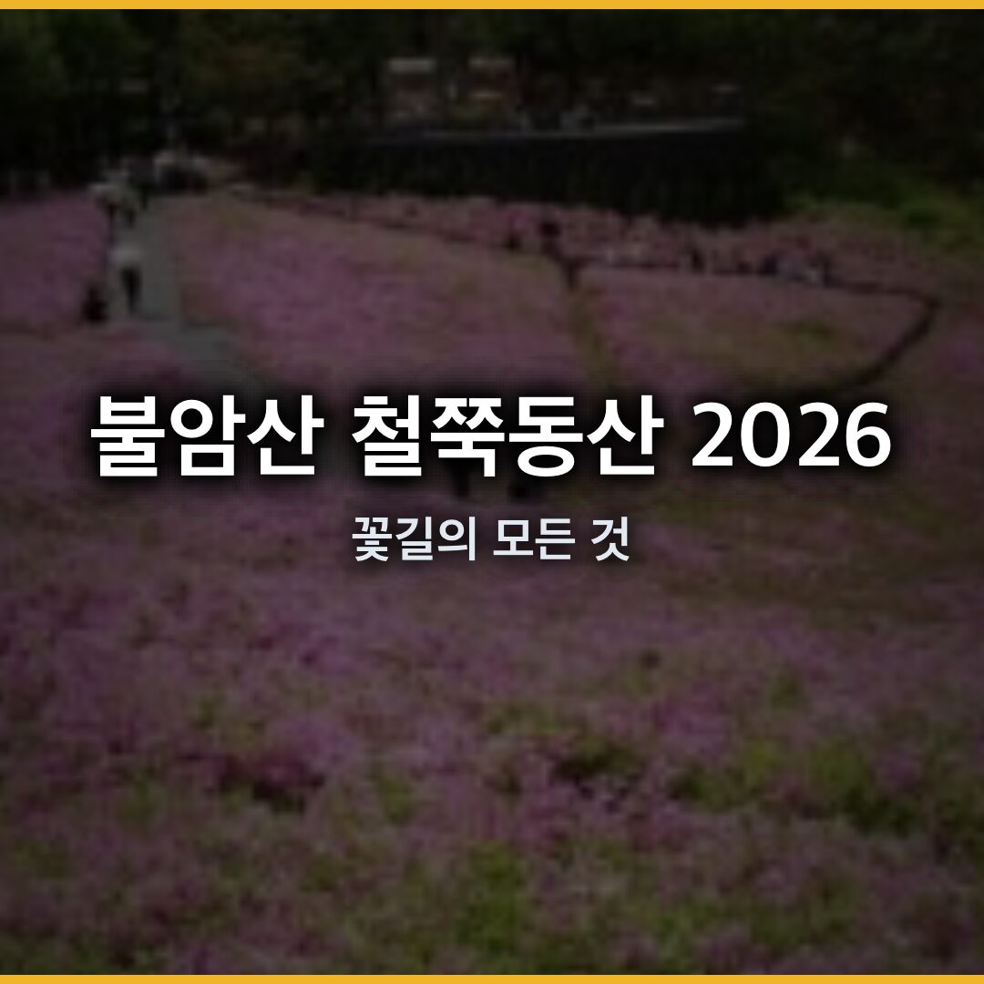 불암산 철쭉동산 2026 년 축제 일정과 10 만 그루 꽃길의 모든 것