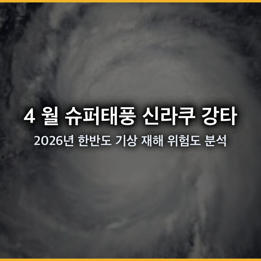 4 월 슈퍼태풍 신라쿠 강타와 2026 년 여름철 한반도 기상 재해 위험도 분석