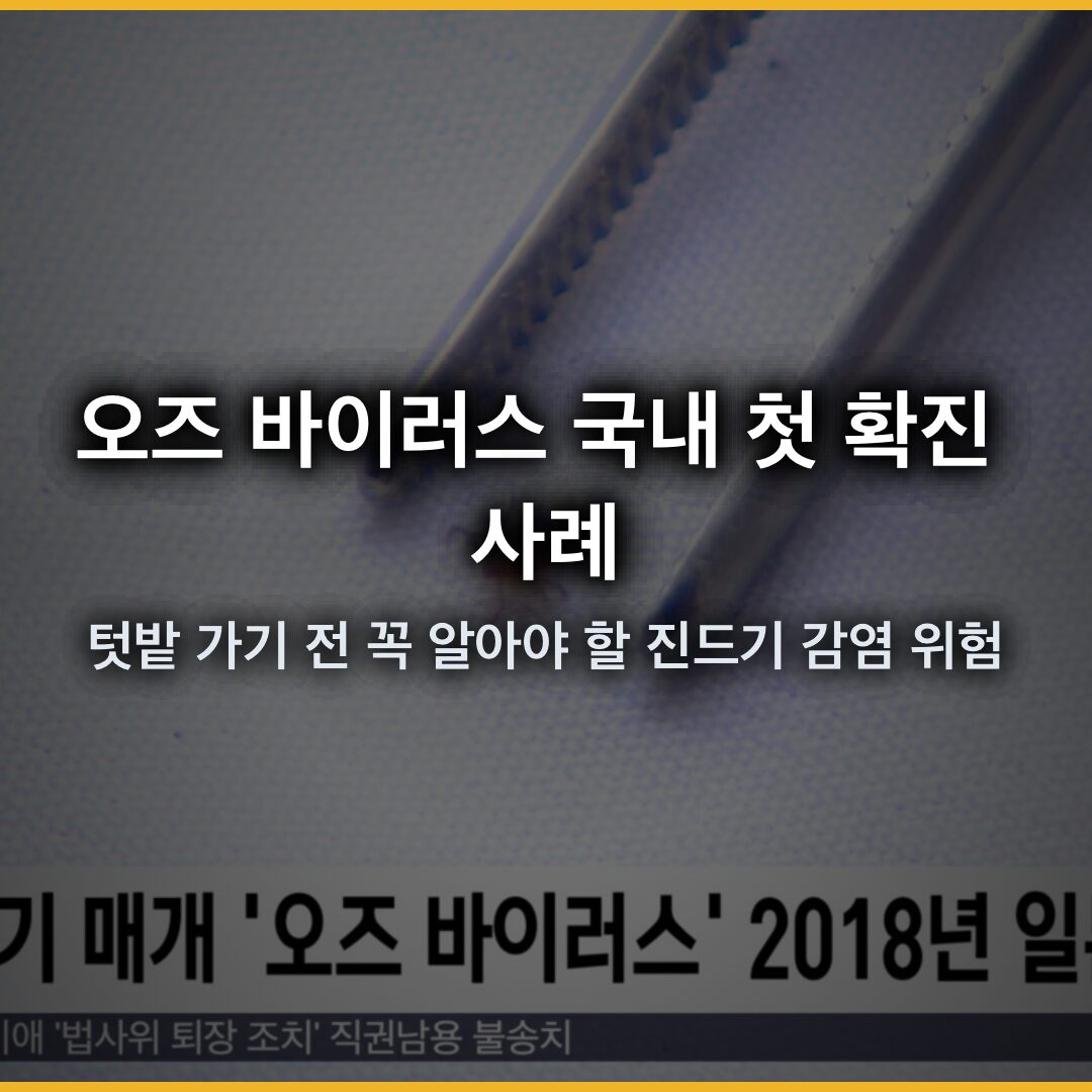 오즈 바이러스 국내 첫 확진 사례 발생…텃밭 가기 전 꼭 알아야 할 진드기 감염 위험
