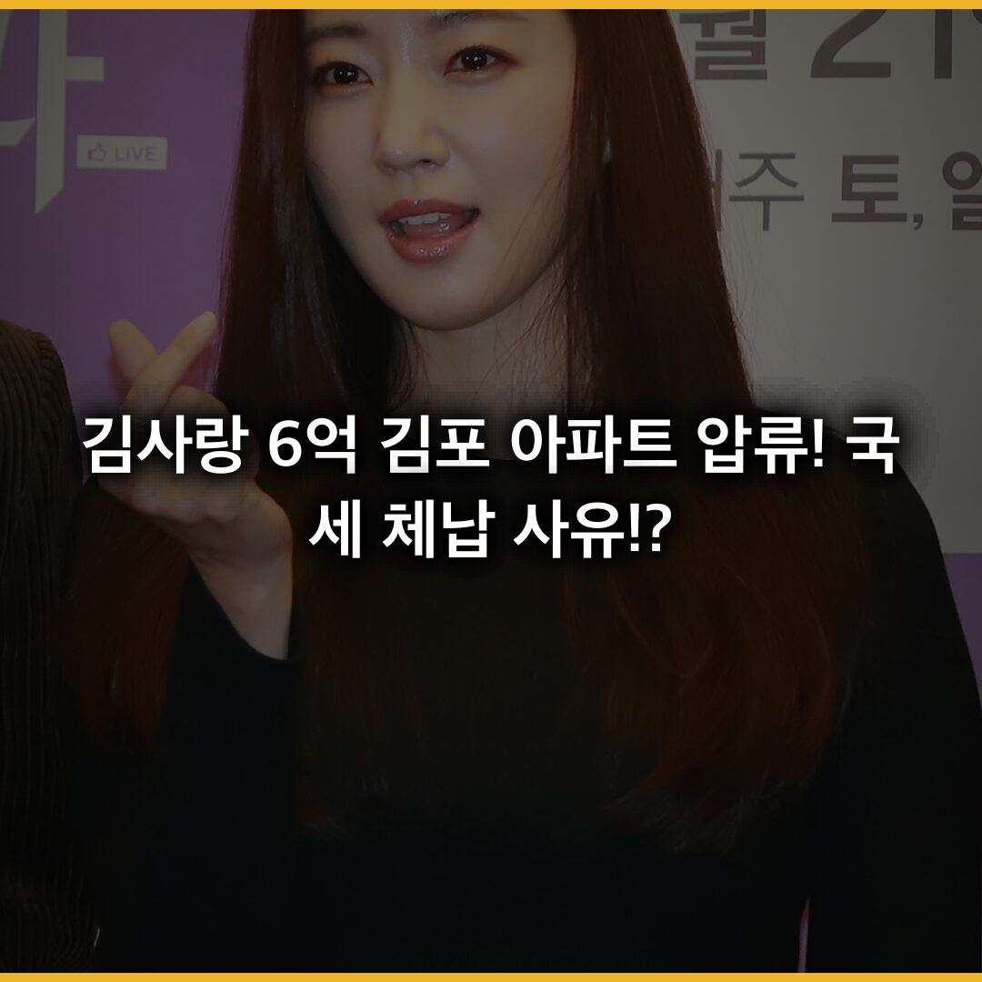 김사랑 6억 김포 아파트 압류! 국세 체납 사유와 청담동 부동산 실태, 세금 체납의 공포가 연예인에게도