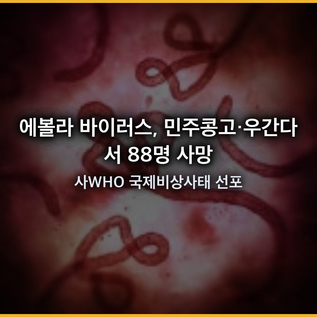 에볼라 바이러스, 민주콩고·우간다서 88명 사망…WHO 국제비상사태 선포