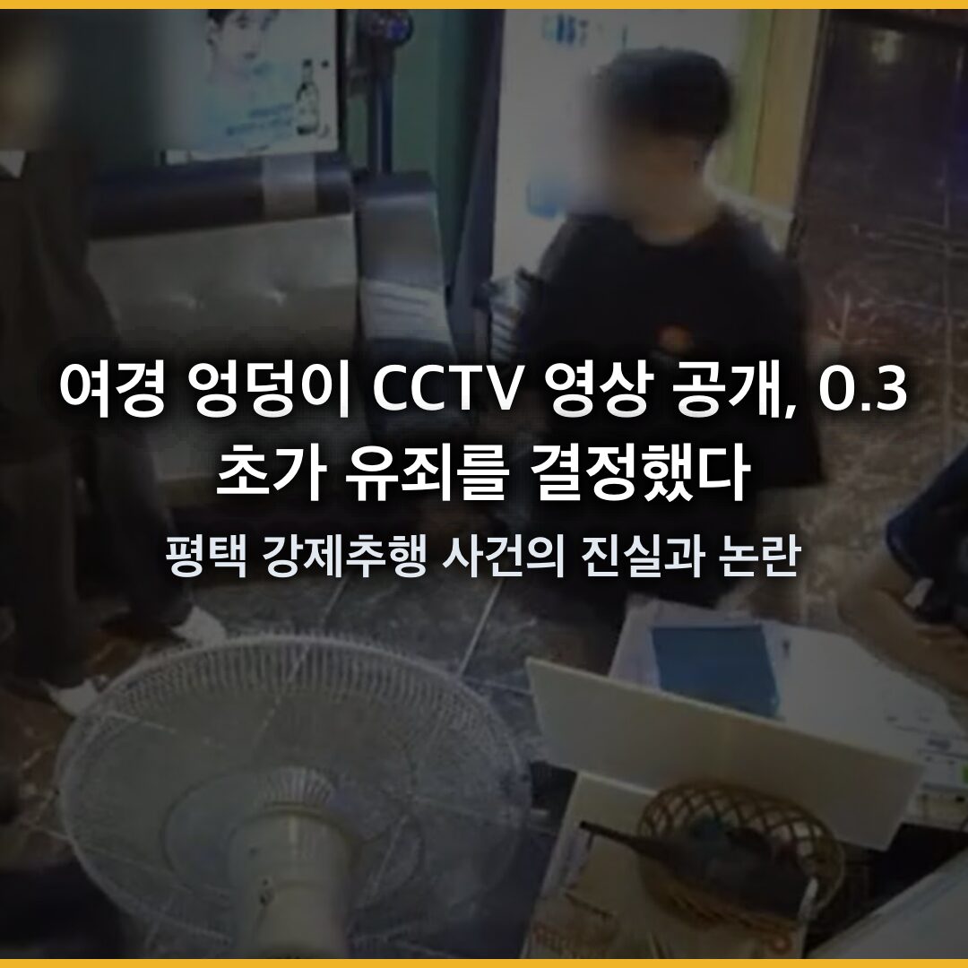 여경 엉덩이 CCTV 영상 공개, 0.3초가 유죄를 결정했다: 평택 강제추행 사건의 진실과 논란