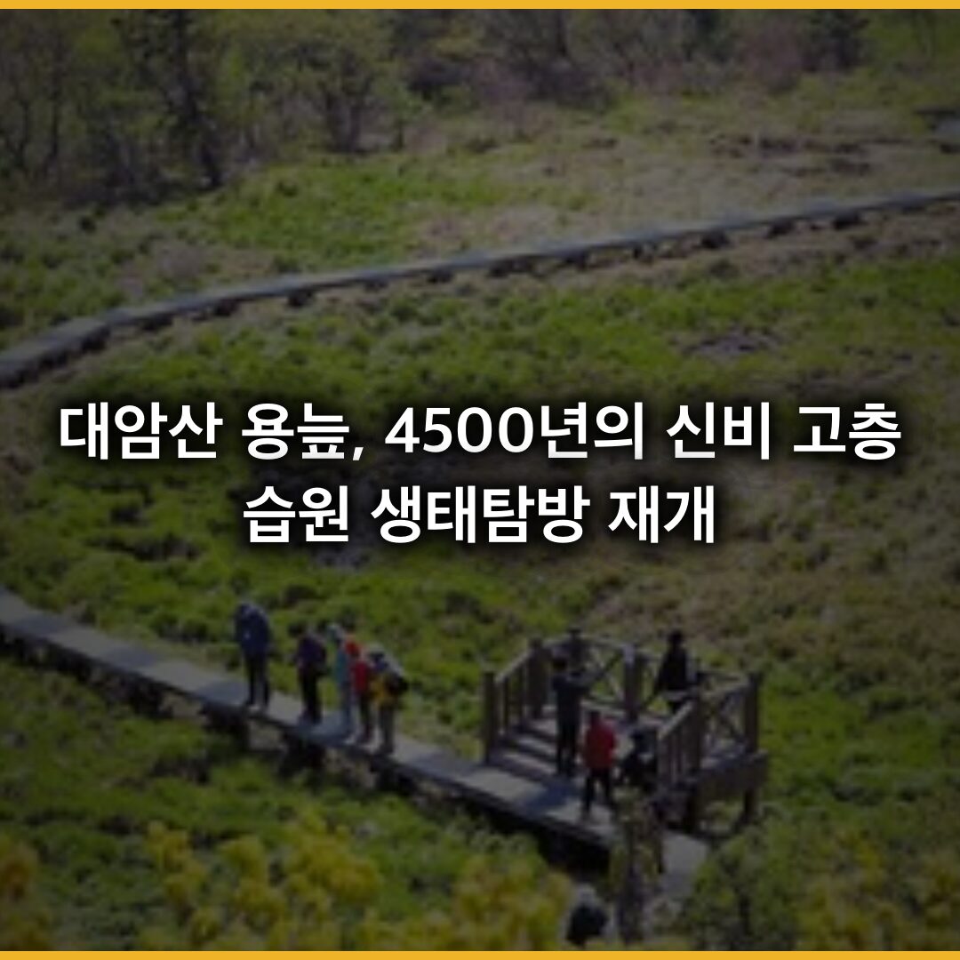 대암산 용늪, 4500년의 신비를 품은 고층습원 생태탐방 재개
