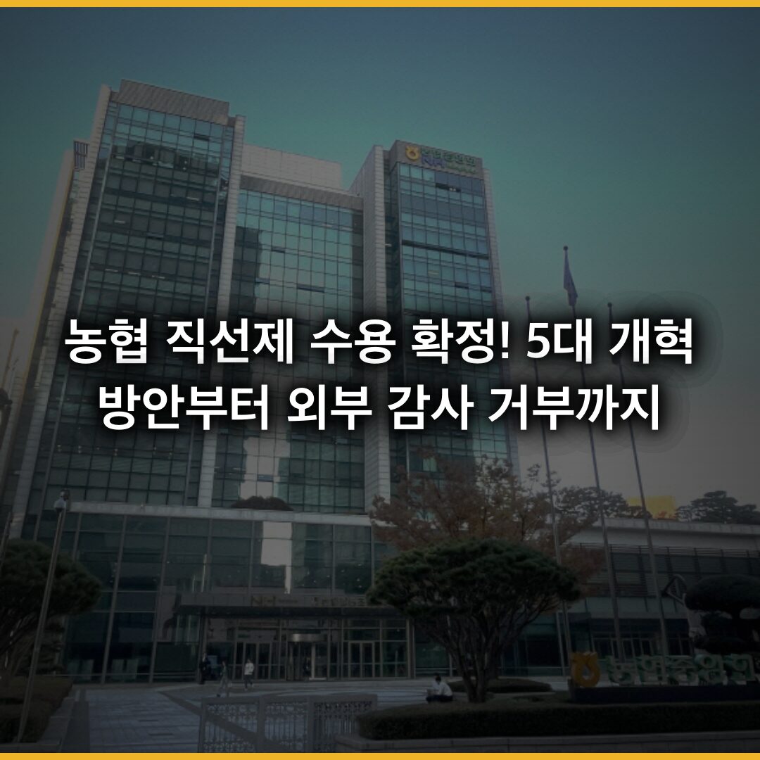 농협 직선제 수용 확정! 5대 개혁방안부터 외부 감사 거부까지 전체 정리