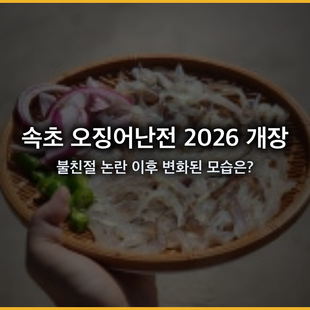 속초 오징어난전 2026 개장 소식, 불친절 논란 이후 변화된 모습은?