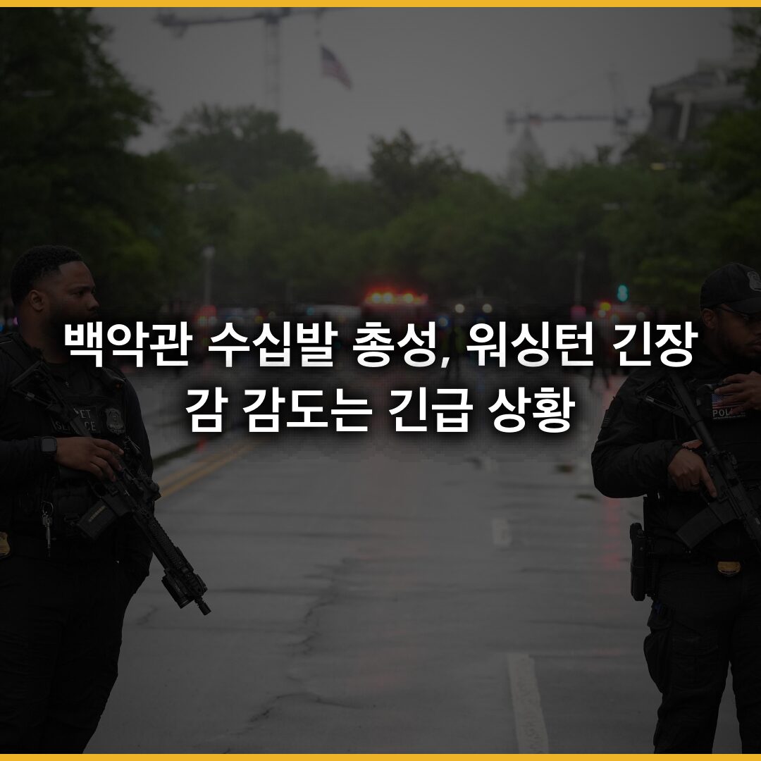 백악관 수십발 총성…워싱턴 긴장감 감도는 긴급 상황