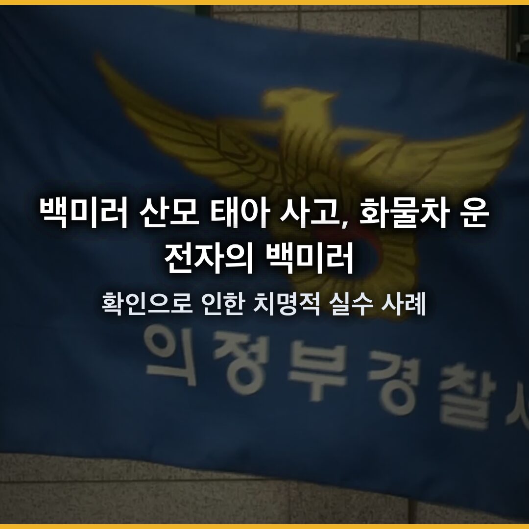 백미러 산모 태아 사고, 화물차 운전자의 백미러 확인으로 인한 치명적 실수 사례