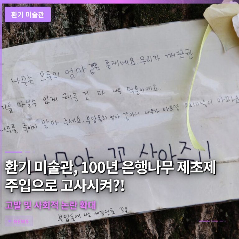 환기 미술관, 100년 은행나무 제초제 주입으로 고사시켜…고발 및 사회적 논란 확대
