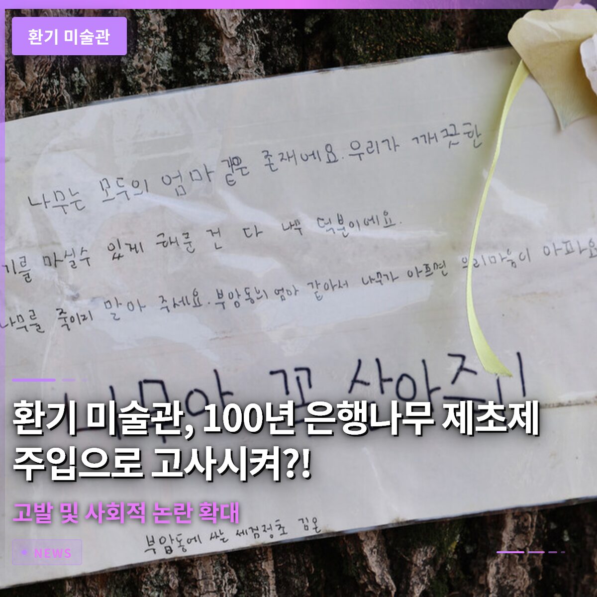 환기 미술관, 100년 은행나무 제초제 주입으로 고사시켜…고발 및 사회적 논란 확대