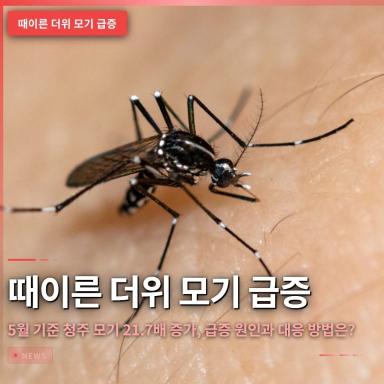 때이른 더위 모기 급증: 5월 기준 청주 모기 21.7배 증가, 급증 원인과 대응 방법은?