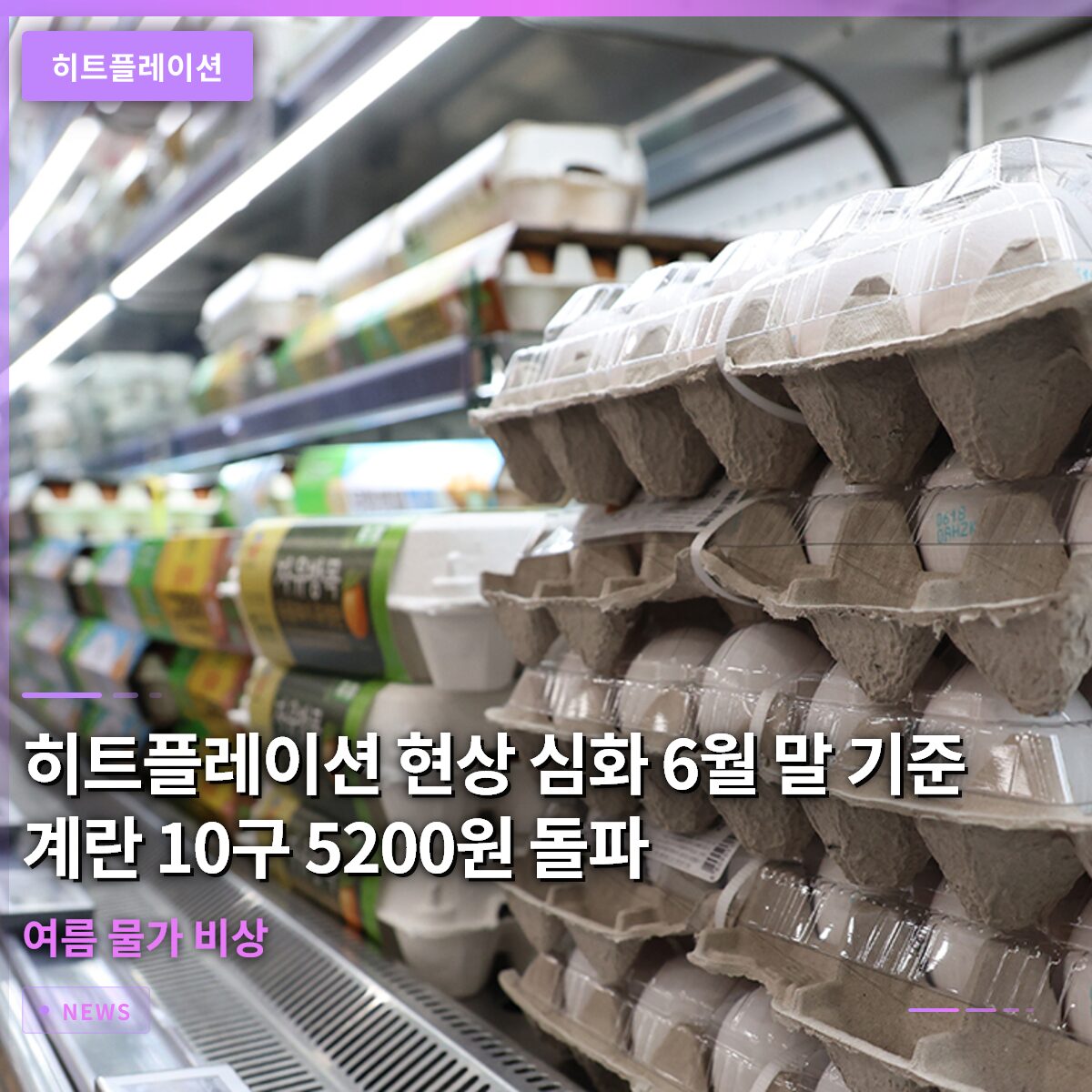 히트플레이션 현상 심화… 6월 말 기준 계란 10구 5200원 돌파, 여름 물가 비상