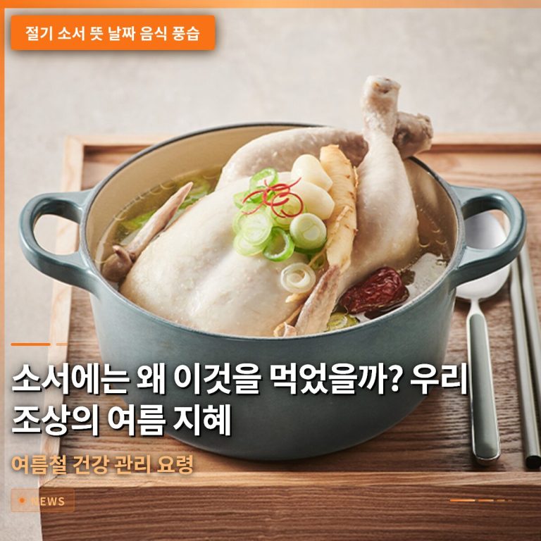 절기 소서 뜻 날짜 음식 풍습과 여름철 건강 관리 요령