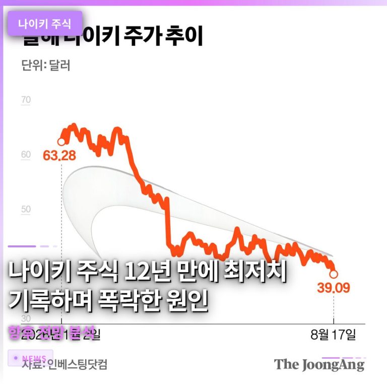 나이키 주식 12년 만에 최저치 기록하며 폭락한 원인과 향후 전망 분석