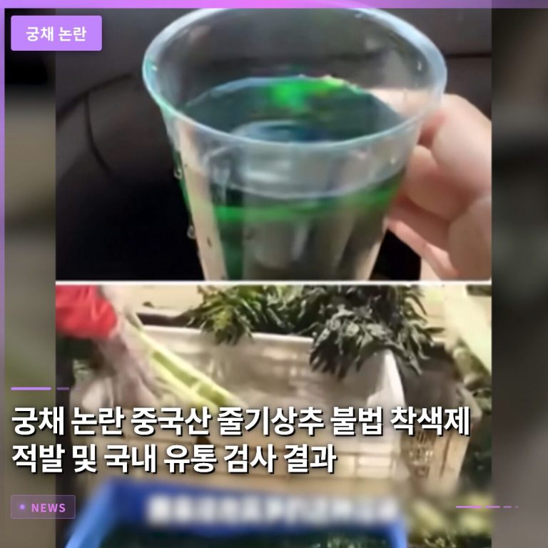 궁채 논란 중국산 줄기상추 불법 착색제 적발 및 국내 유통 검사 결과