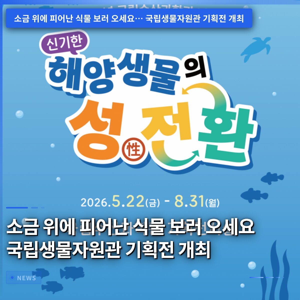 소금 위에 피어난 식물 보러 오세요 국립생물자원관 기획전 개최