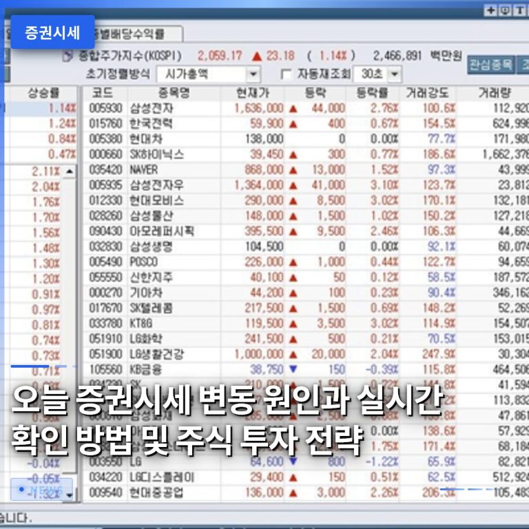 오늘 증권시세 변동 원인과 실시간 확인 방법 및 주식 투자 전략