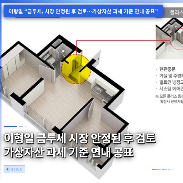 이형일 금투세 시장 안정된 후 검토 가상자산 과세 기준 연내 공표