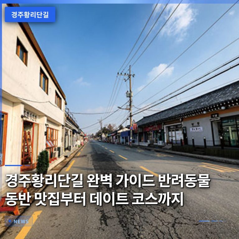 경주황리단길 완벽 가이드 반려동물 동반 맛집부터 데이트 코스까지