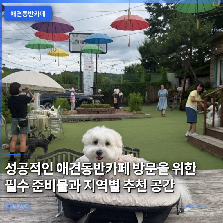 성공적인 애견동반카페 방문을 위한 필수 준비물과 지역별 추천 공간