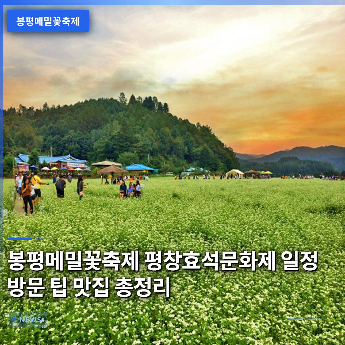 봉평메밀꽃축제 평창효석문화제 일정 방문 팁 맛집 총정리