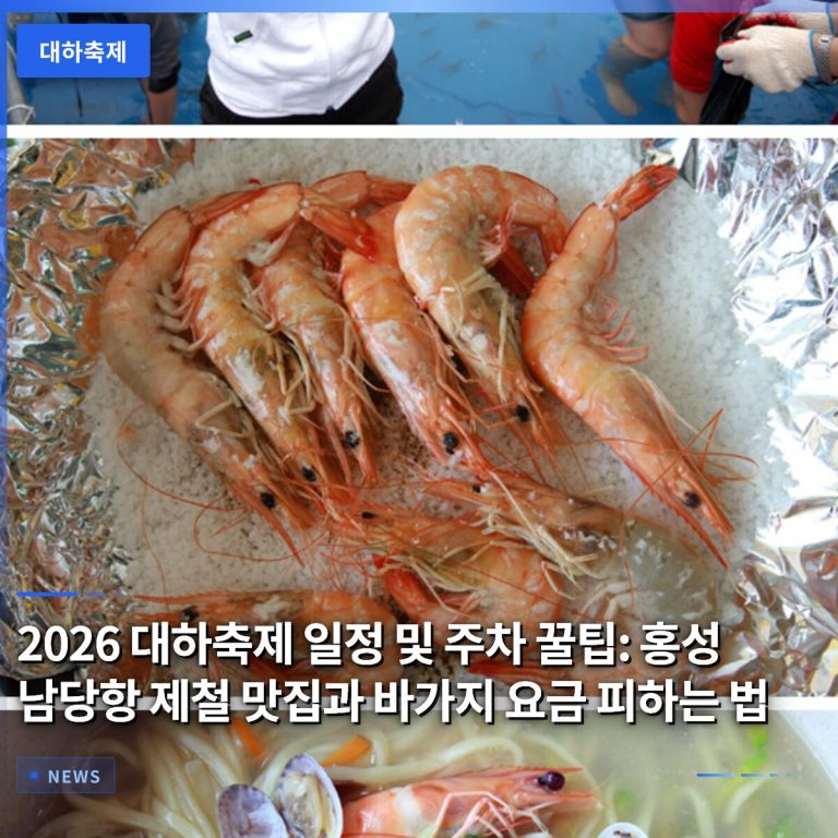 2026 대하축제 일정 및 주차 꿀팁: 홍성 남당항 제철 맛집과 바가지 요금 피하는 법