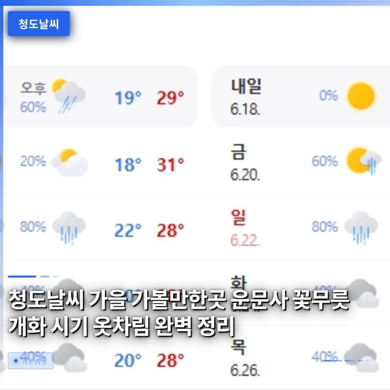 청도날씨 가을 가볼만한곳 운문사 꽃무릇 개화 시기 옷차림 완벽 정리