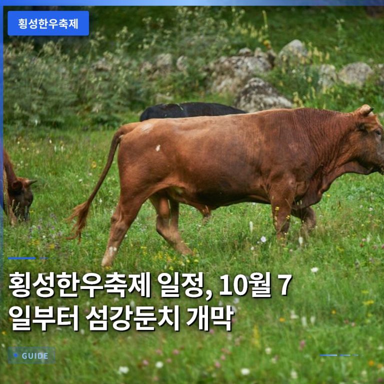 횡성한우축제 일정, 10월 7일부터 섬강둔치 개막