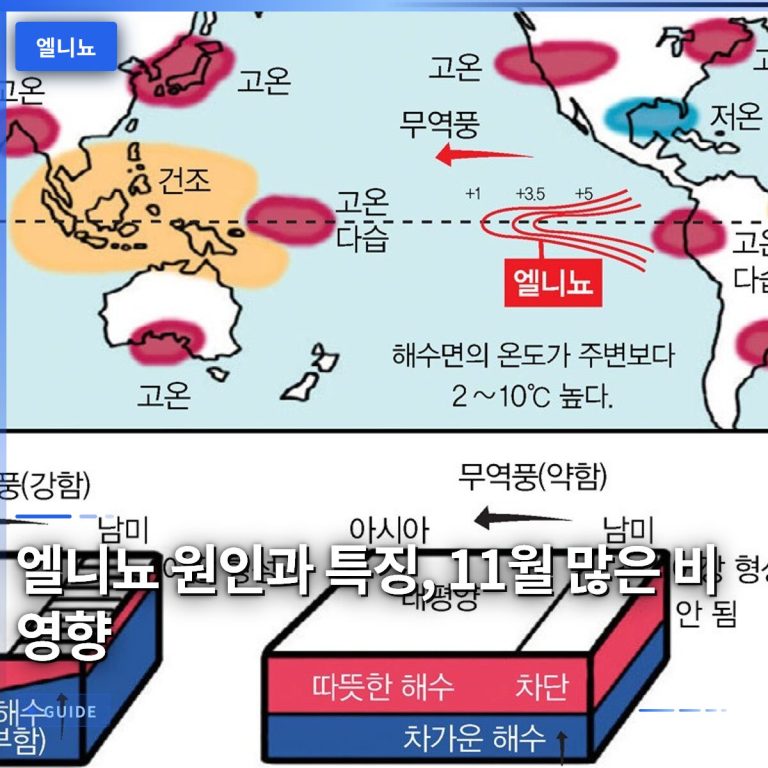 엘니뇨 원인과 특징, 11월 많은 비 영향