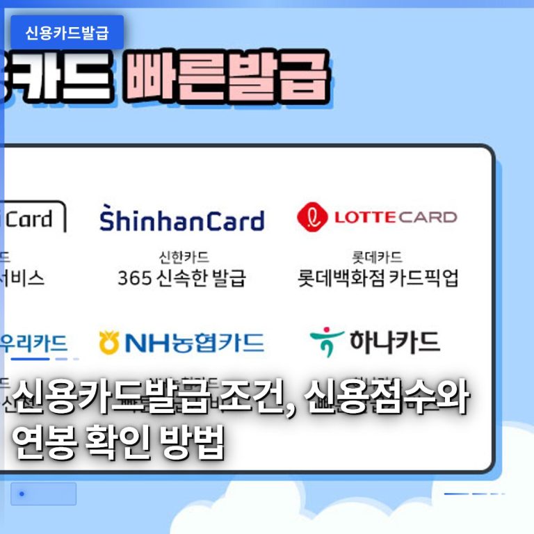 신용카드발급 조건, 신용점수와 연봉 확인 방법