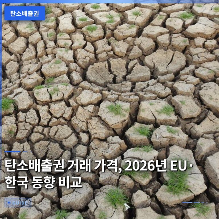 탄소배출권 거래 가격, 2026년 EU·한국 동향 비교