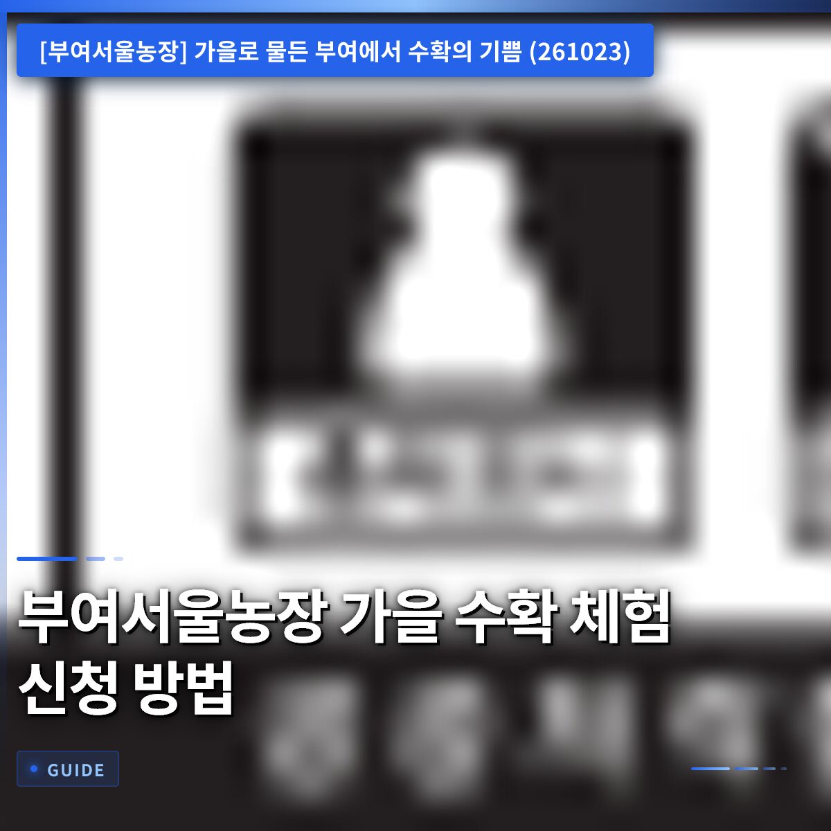 부여서울농장 가을 수확 체험 신청 방법