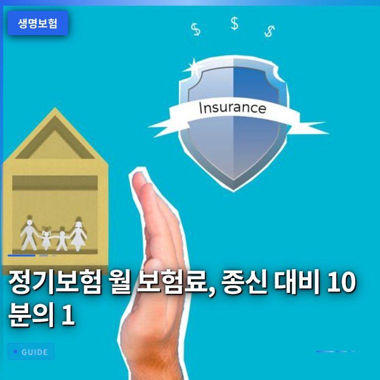 정기보험 월 보험료, 종신 대비 10분의 1