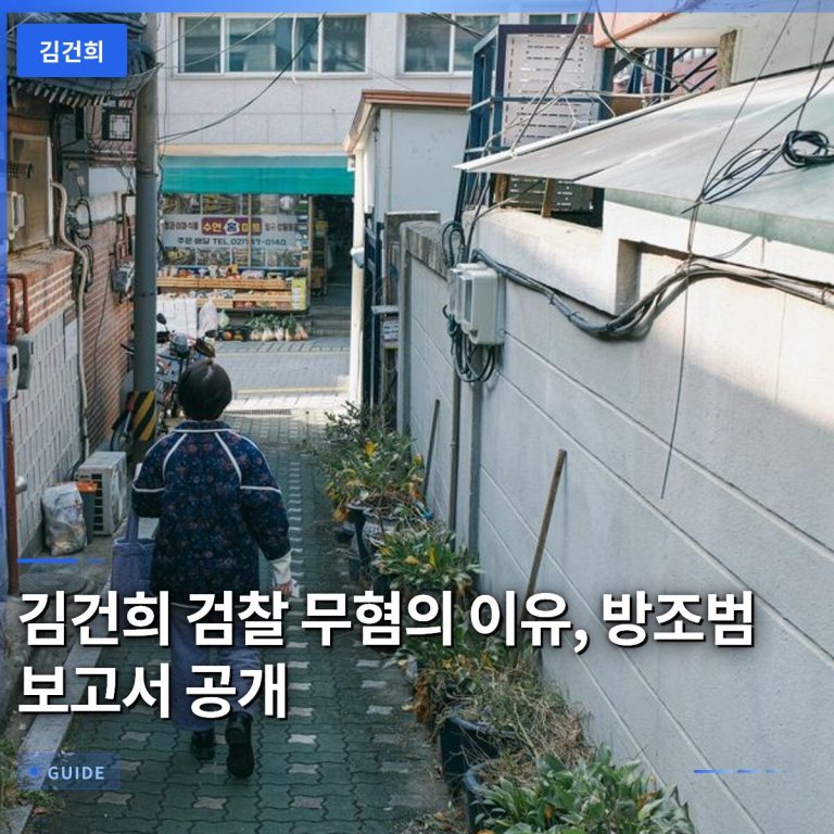 김건희 검찰 무혐의 이유, 방조범 보고서 공개