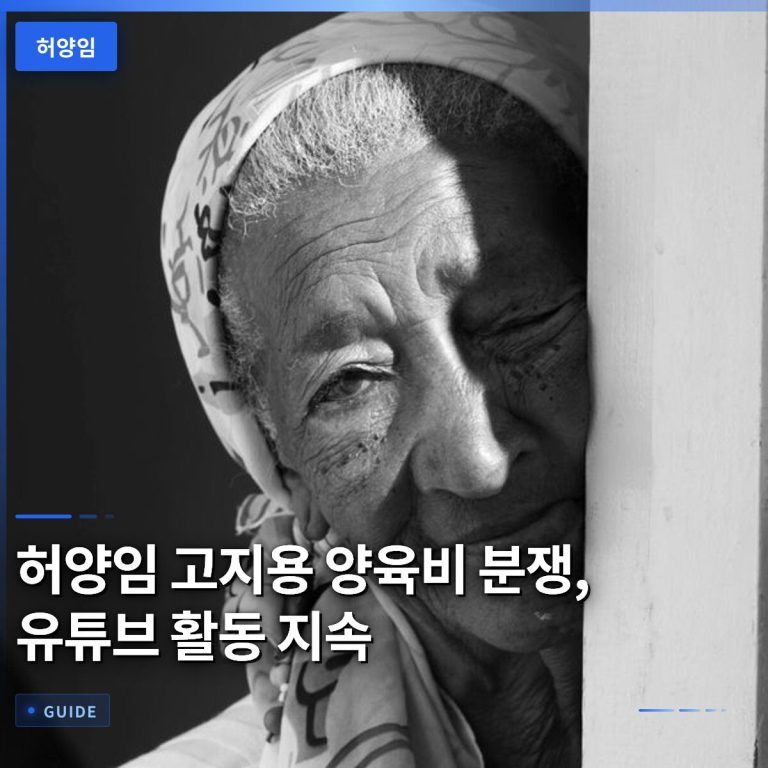 허양임 고지용 양육비 분쟁, 유튜브 활동 지속