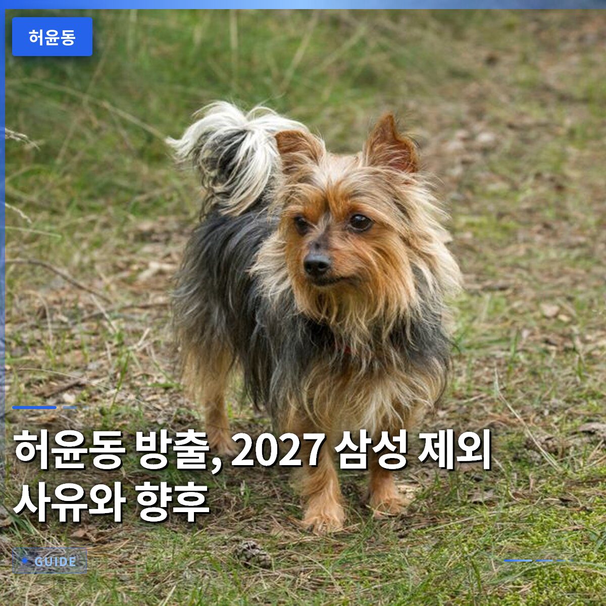 허윤동 방출, 2027 삼성 제외 사유와 향후