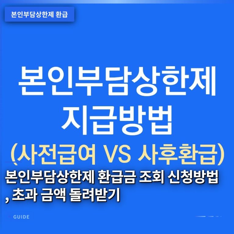 본인부담상한제 환급금 조회 신청방법, 초과 금액 돌려받기